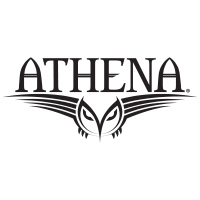 Athena Pool Cue Cases